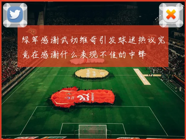 绿军感谢武切维奇引发球迷热议究竟在感谢什么表现不佳的中锋