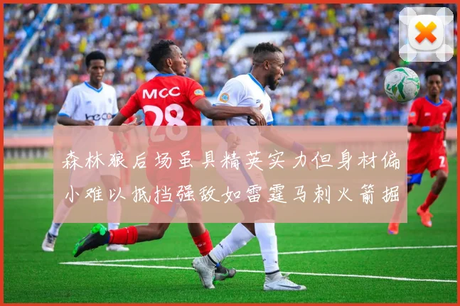 森林狼后场虽具精英实力但身材偏小难以抵挡强敌如雷霆马刺火箭掘金