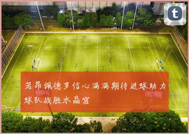 若昂佩德罗信心满满期待进球助力球队战胜水晶宫